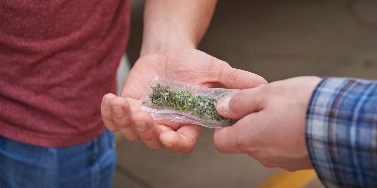 InDepth Research Report Marijuana Testing Making the Right Decision