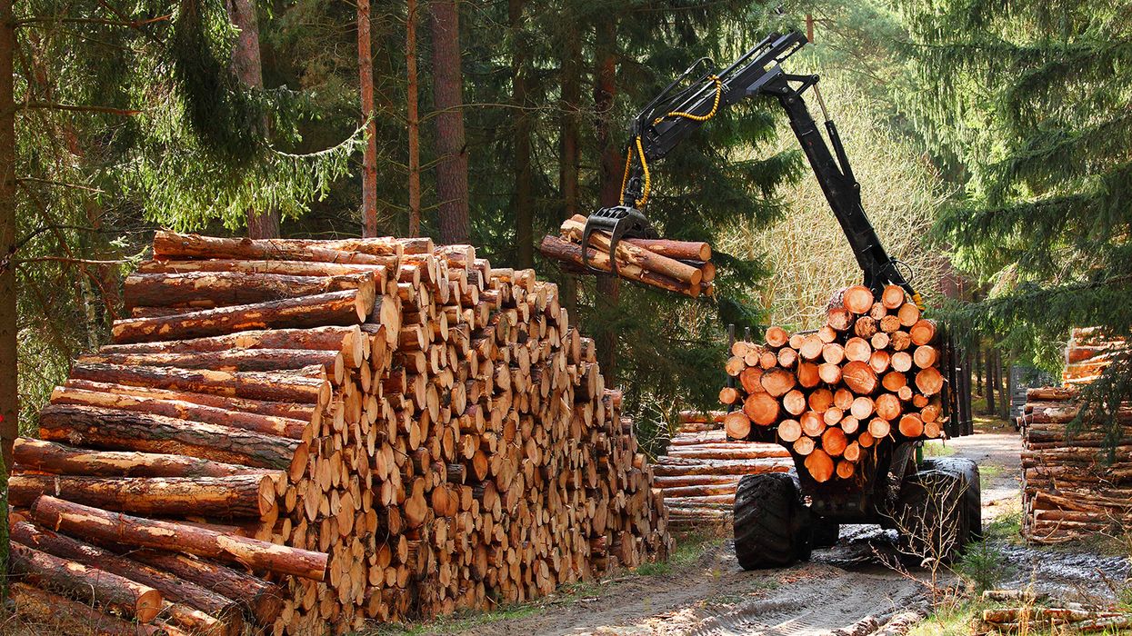 First aid and CPR requirements in the logging industry What you need to know