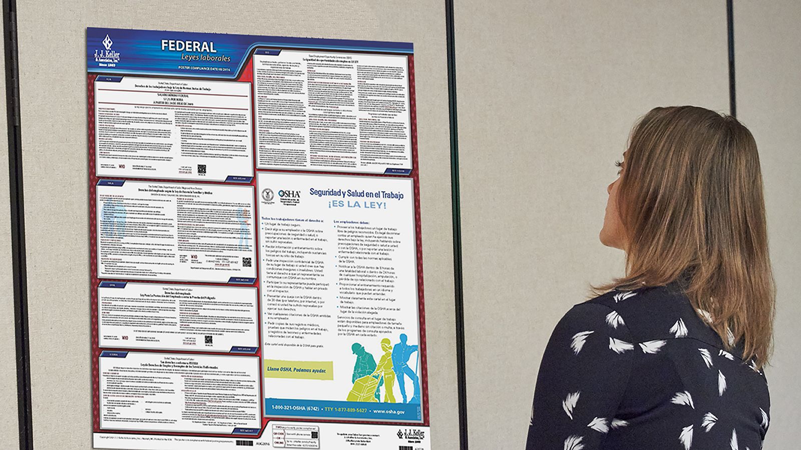 WHAT IS THE LABOR CABINET visual data 2