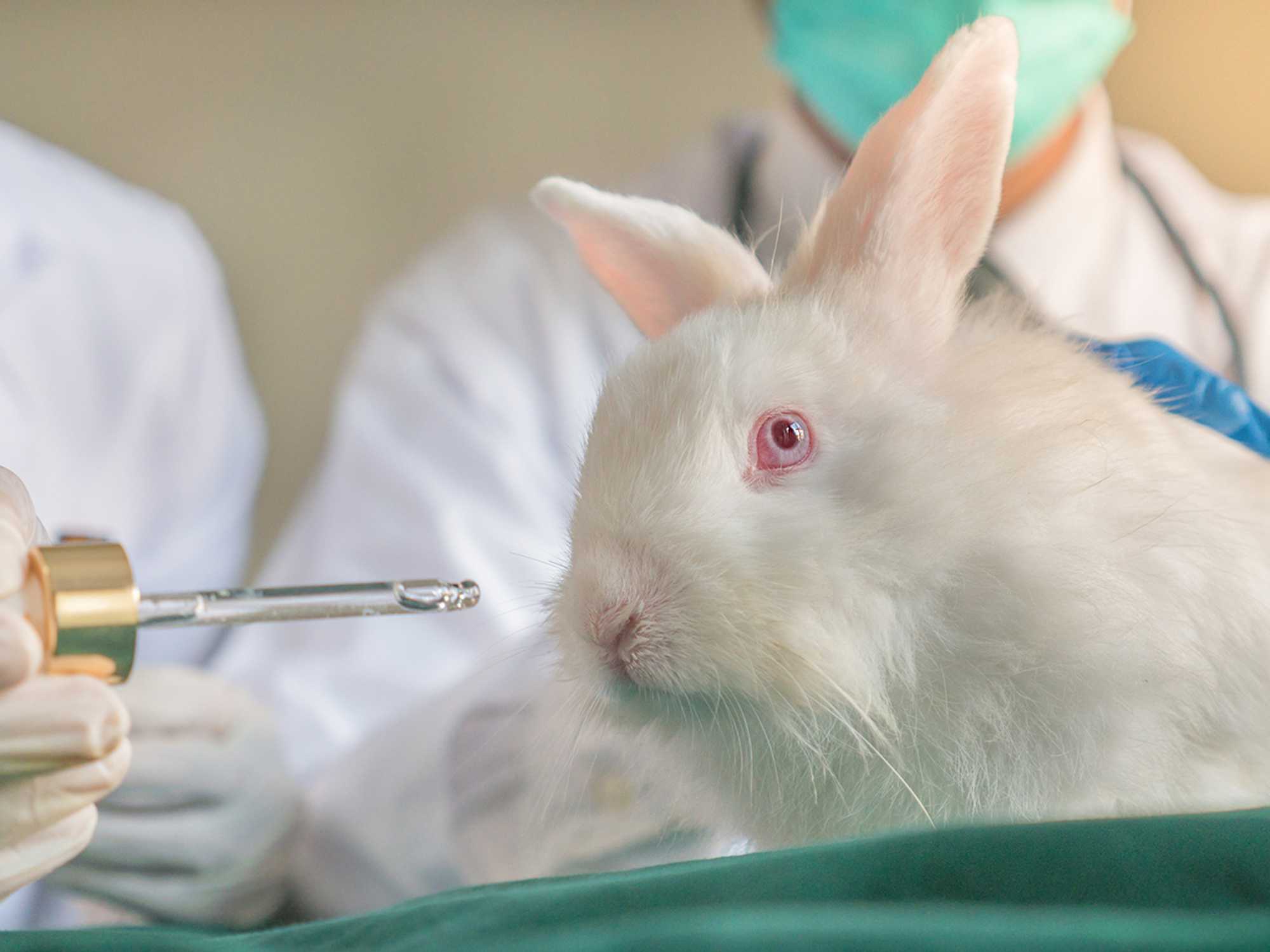 Minimized animal testing