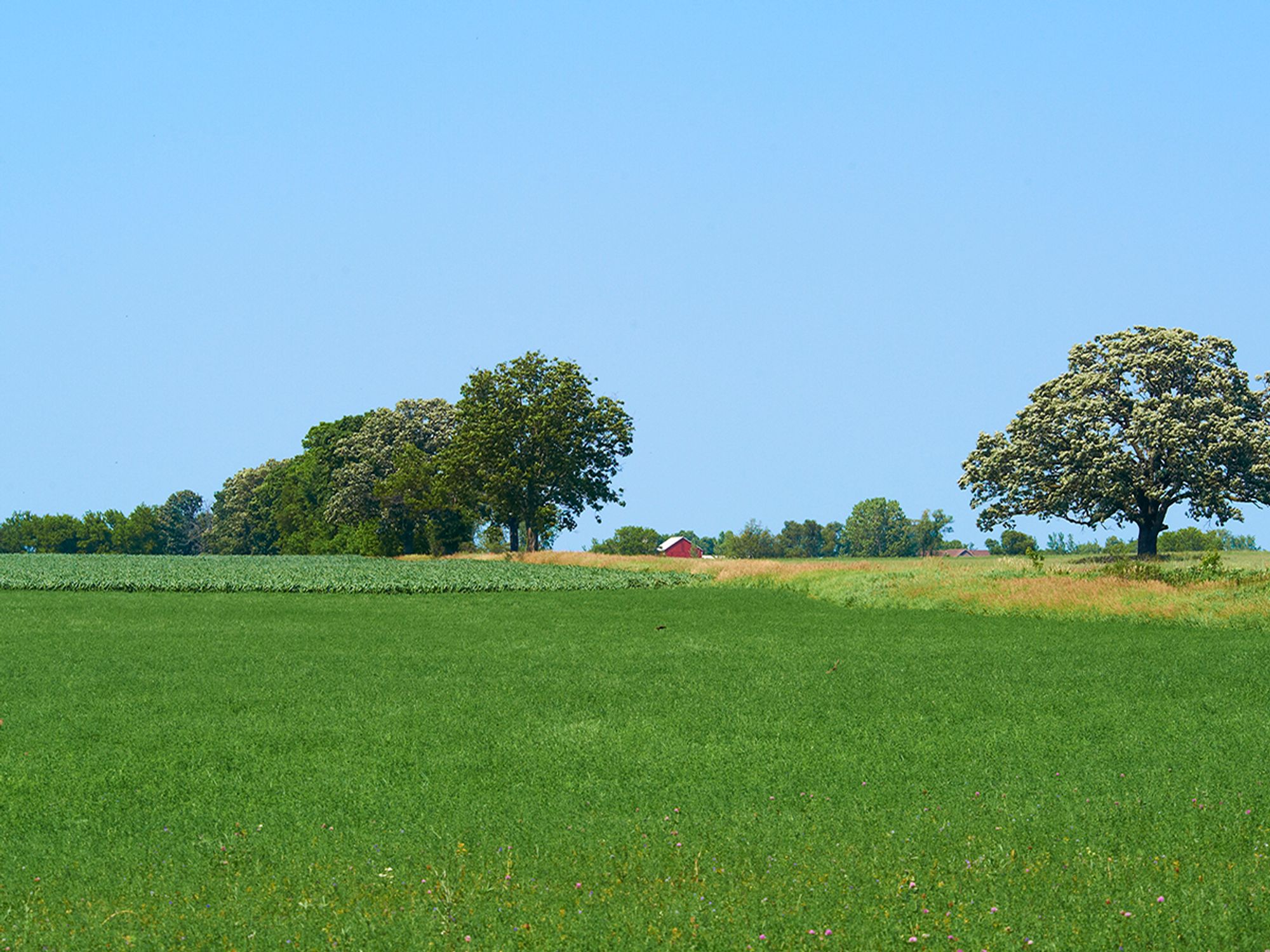 Reduced environmental impacts