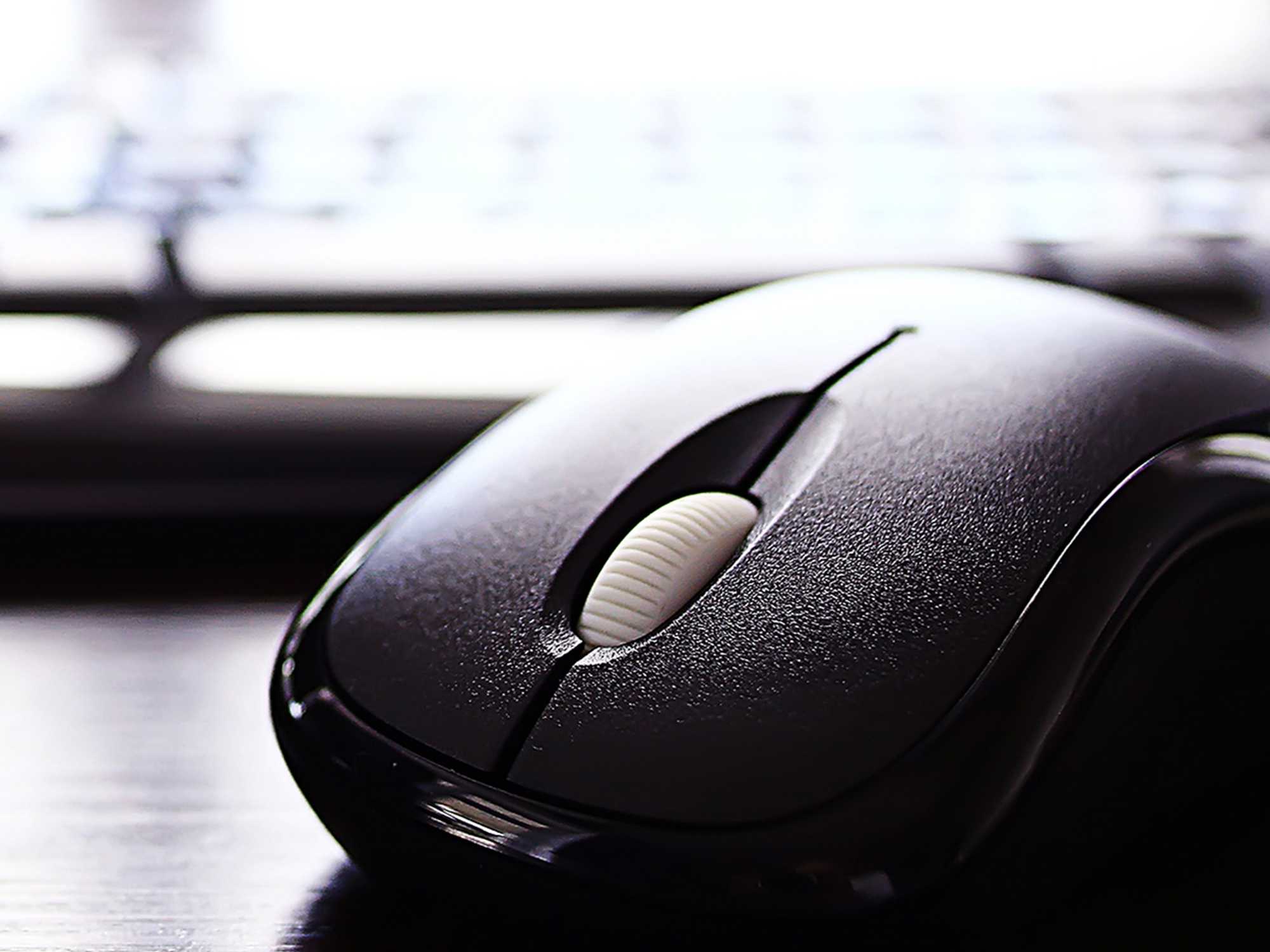 What information to submit