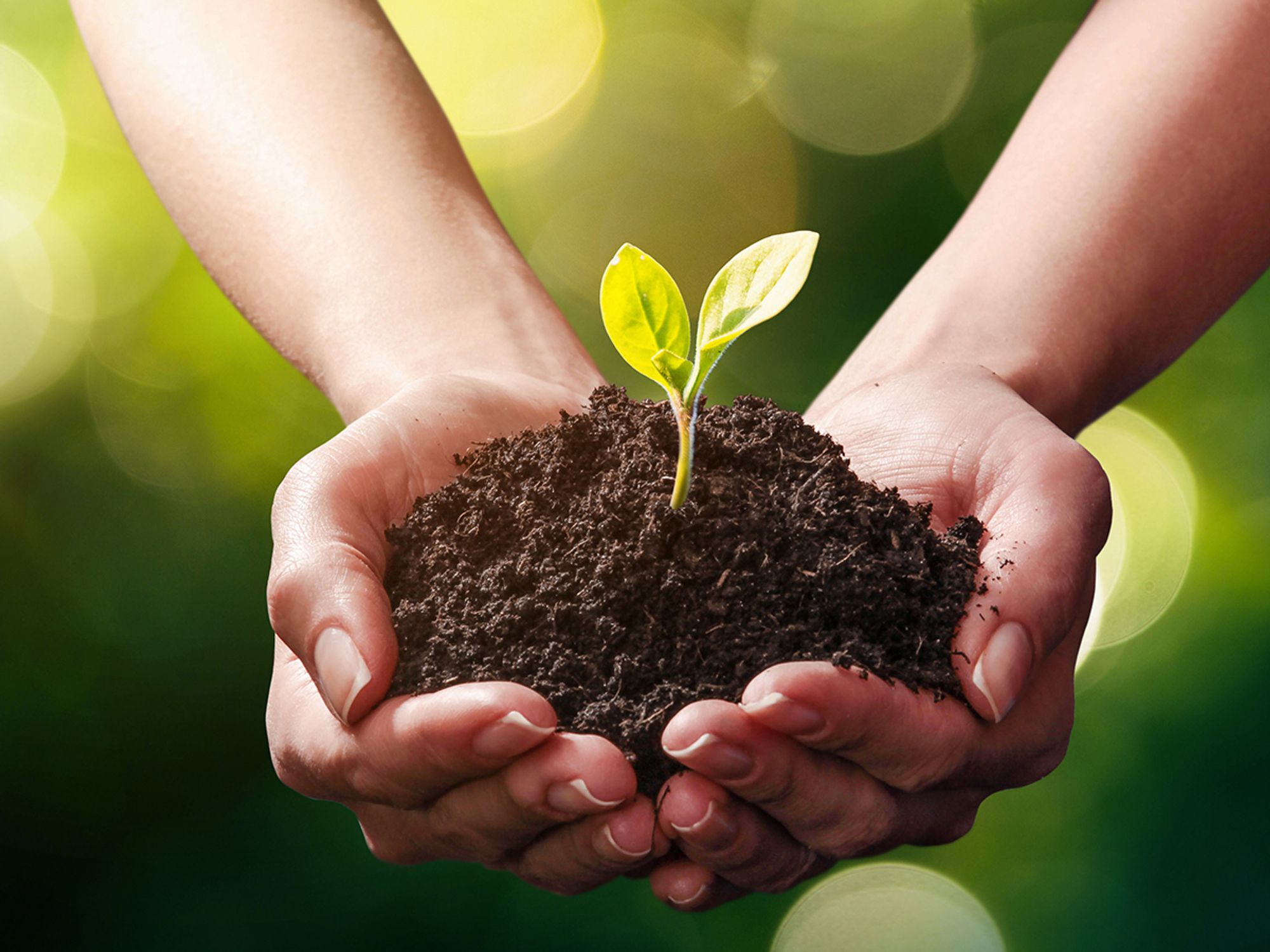 Sustainability
