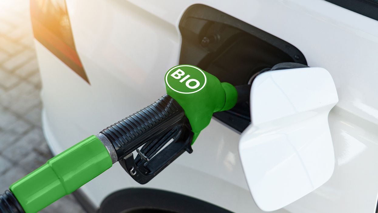 Understanding the new renewable fuel standards