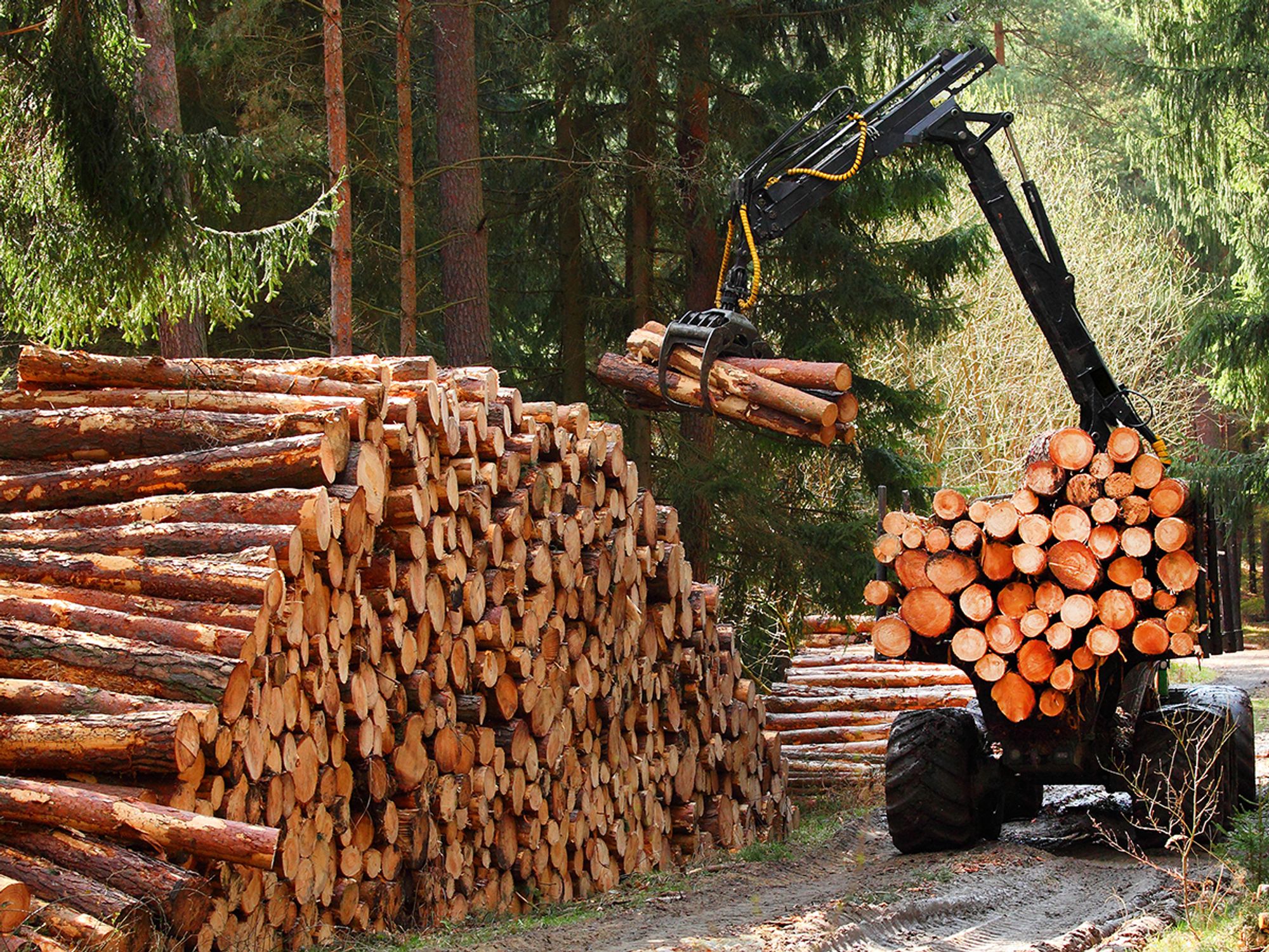 Logging operations