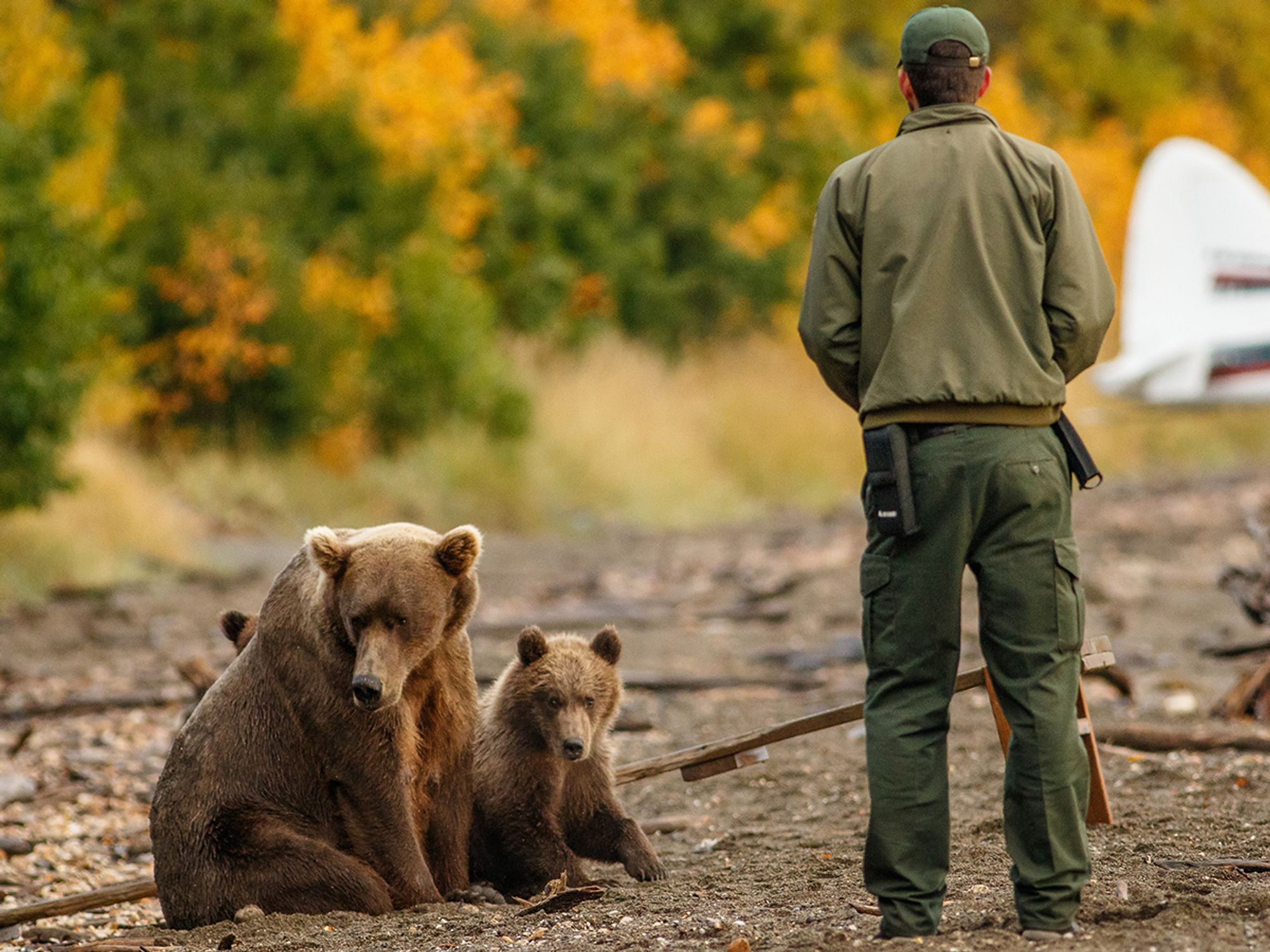 Lacey Act protected