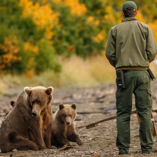 USFWS proposes revision to ESA permits