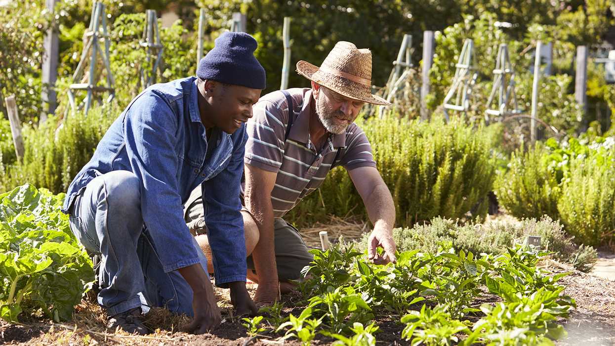 Facility landscaping and the Pollinator Protection Initiative