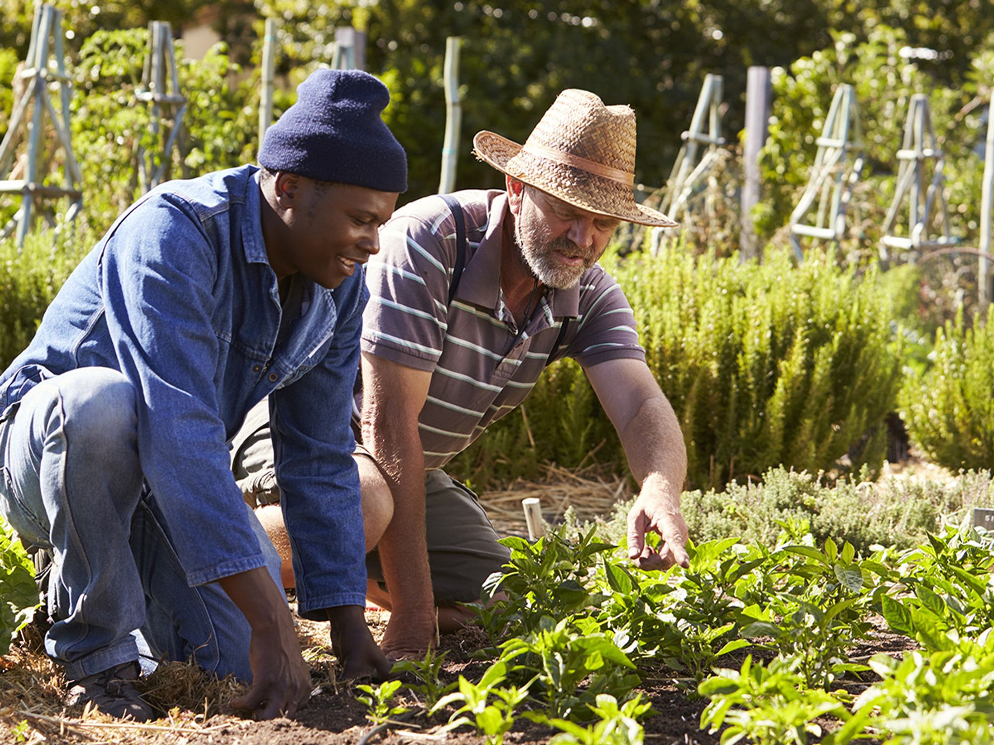 Environmental, social, and governance (ESG)