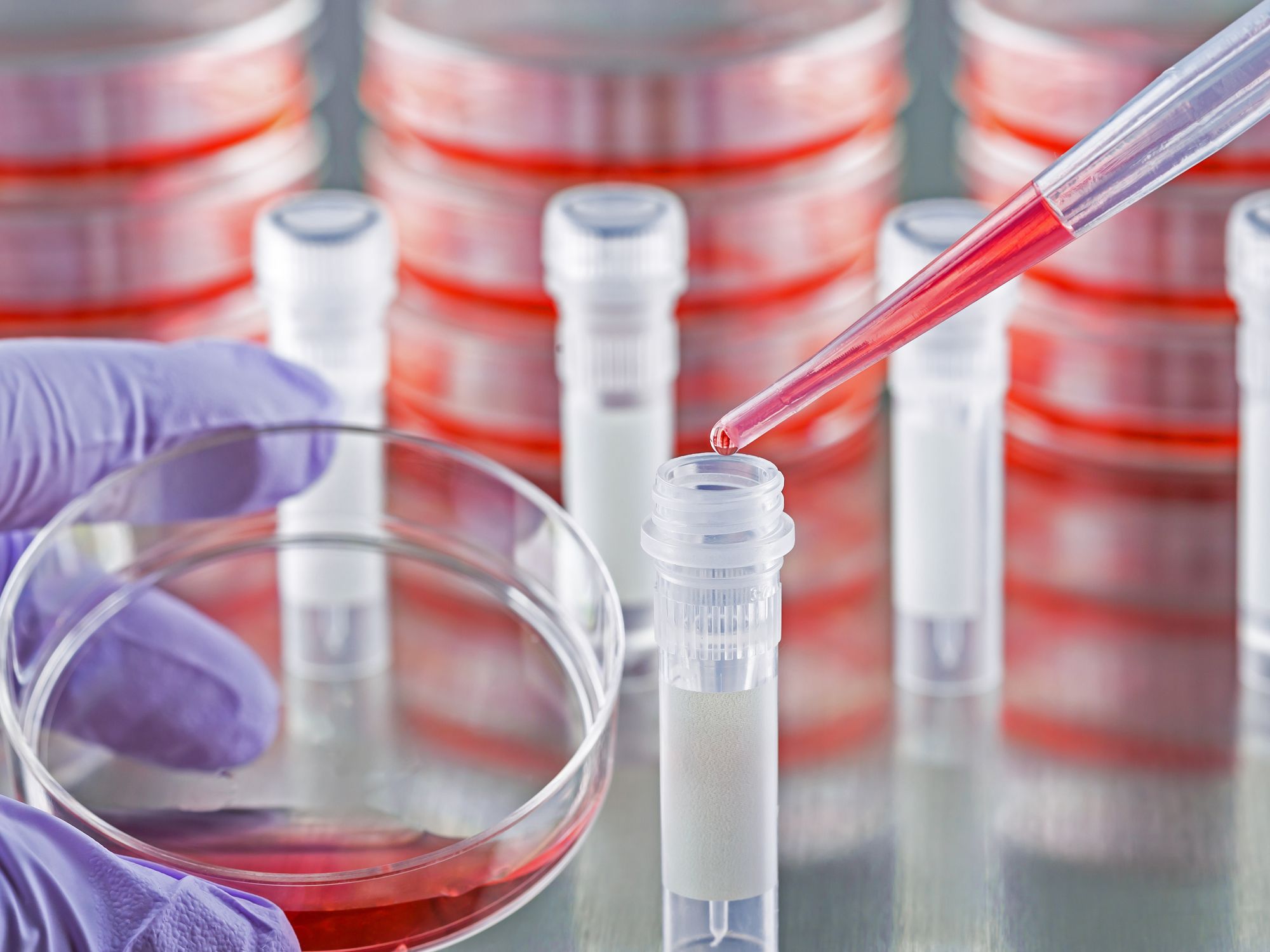 Requirements for both research laboratories and production facilities