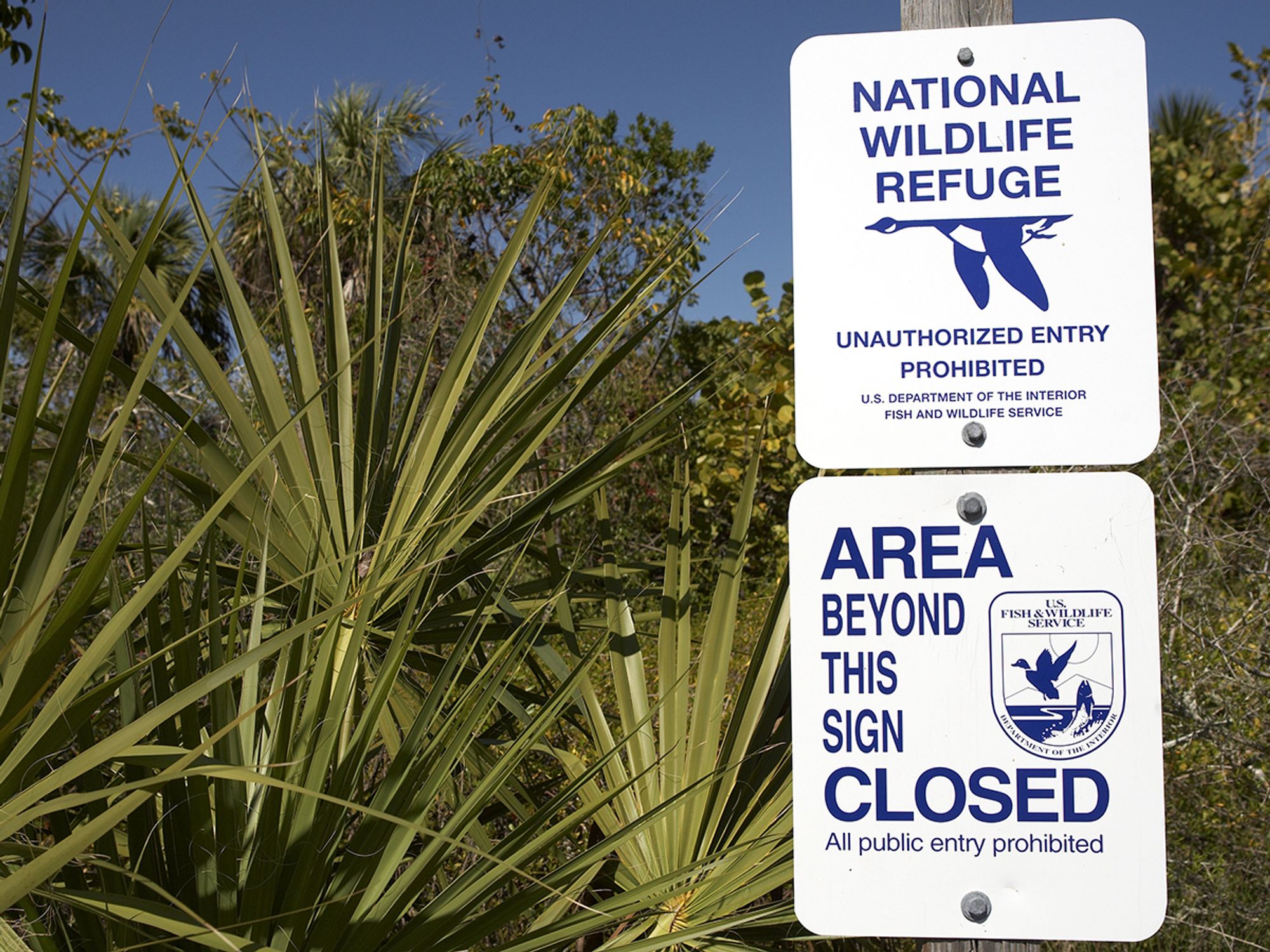 United States Fish and Wildlife Service (USFWS)