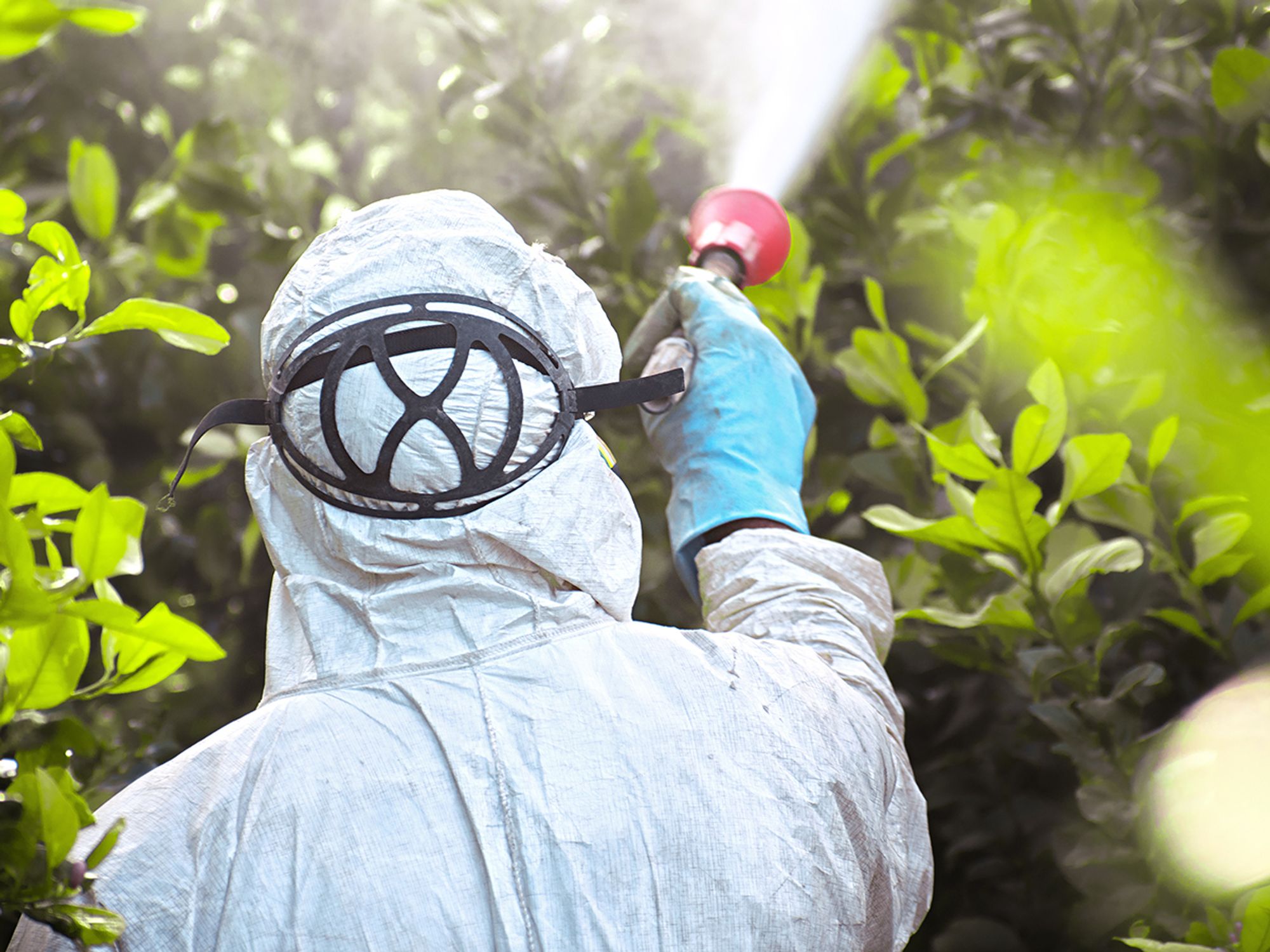 EPA assessment