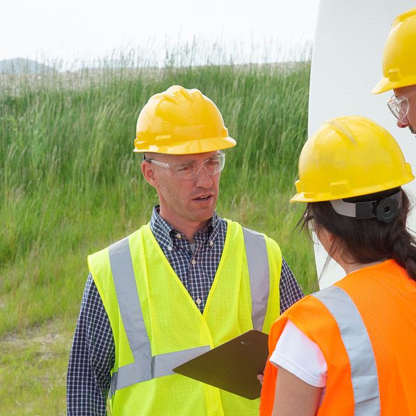 From bites to barks: Fighting plants and animals ‘tooth and nail’ at work