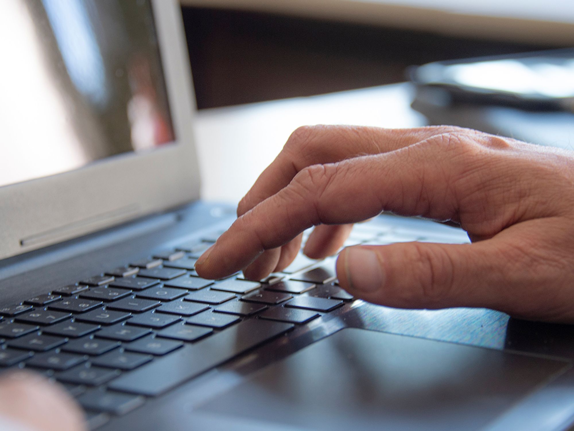Data fields and flags in the non-confidential TCSA Inventory