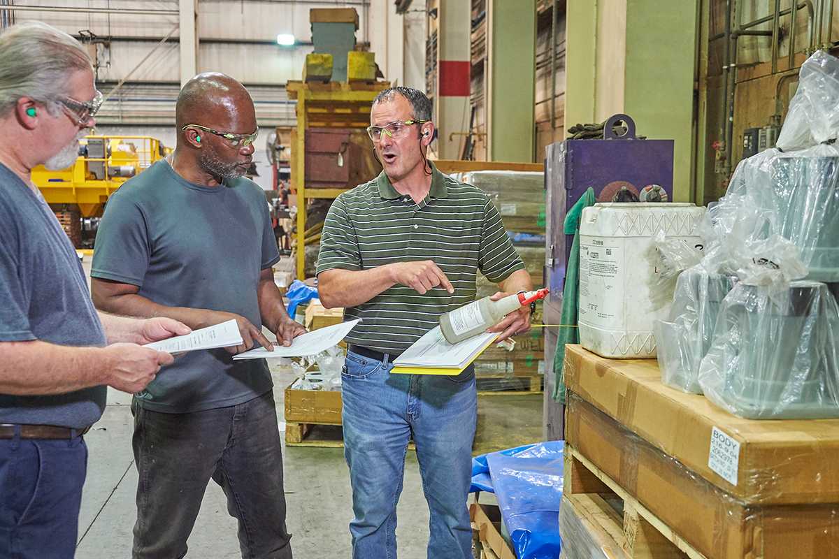 Programmed inspections