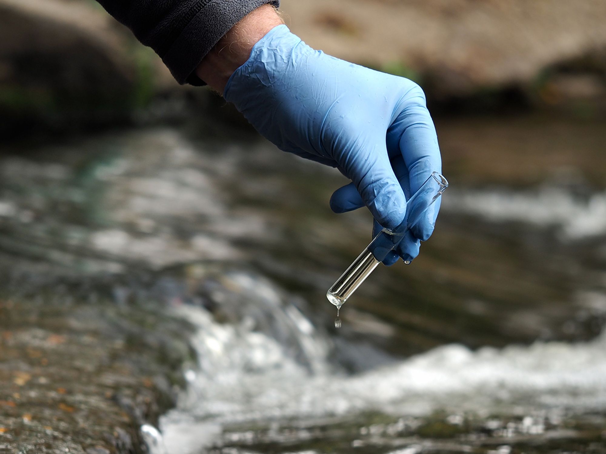 Stormwater Pollution Prevention Plans (SWPPPs)