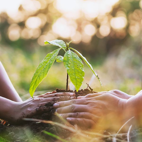 Plan – The first step to a successful environmental management system