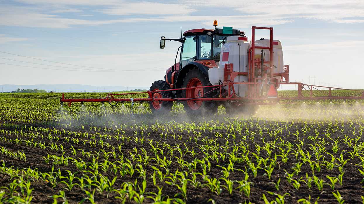 EPA moves to ban chlorpyrifos for food applications