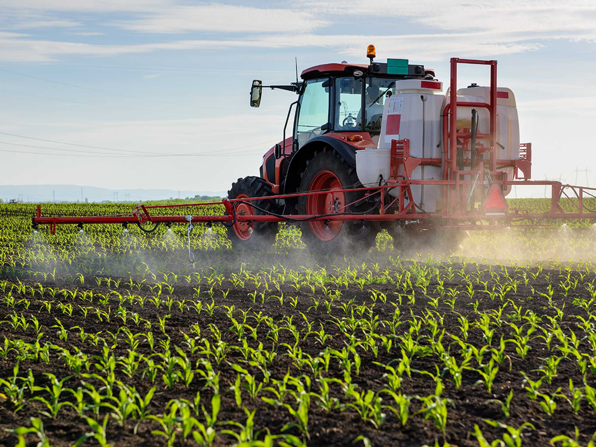 Worker Protection Standard (WPS)