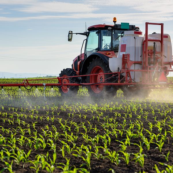 EPA moves to ban chlorpyrifos for food applications
