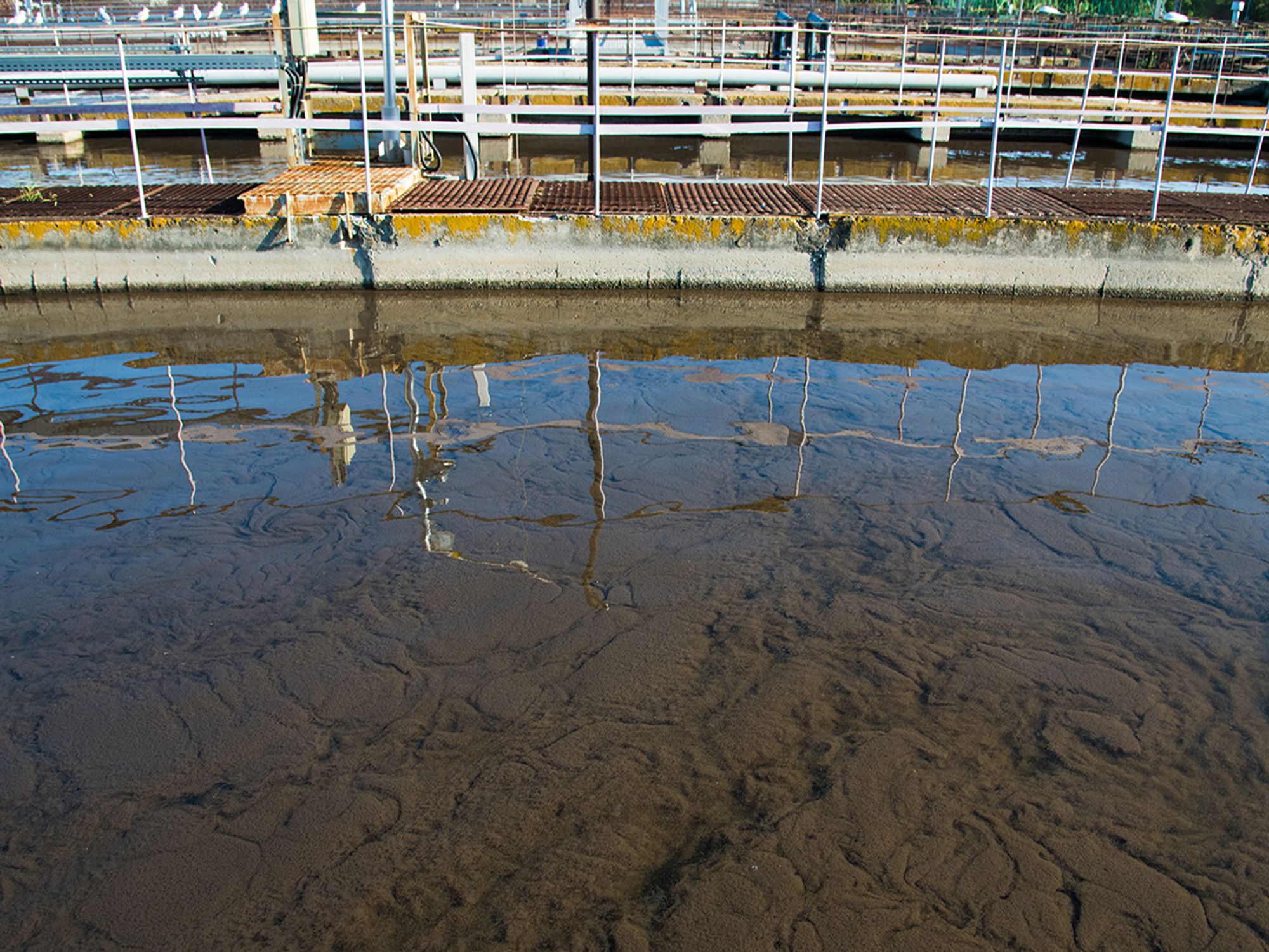How is wastewater regulated?