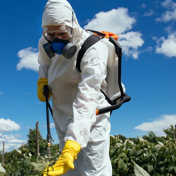 EPA extends deadline for Restricted Use Pesticide applicator certification plans