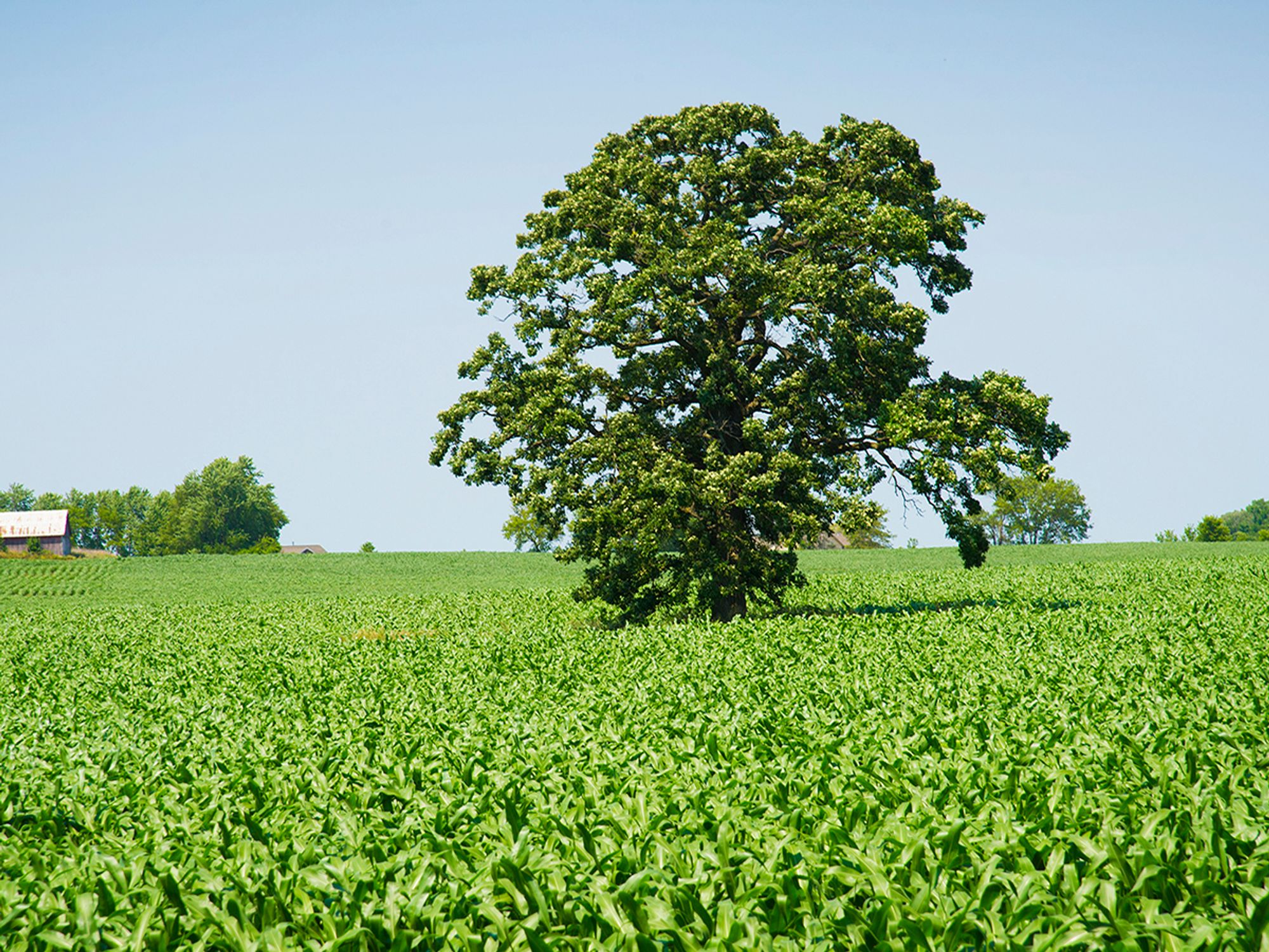 Environmental Management System (EMS) goals