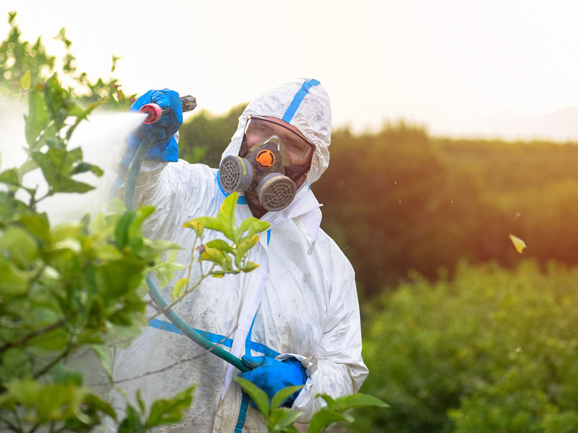 Commercial applicator competency and certification