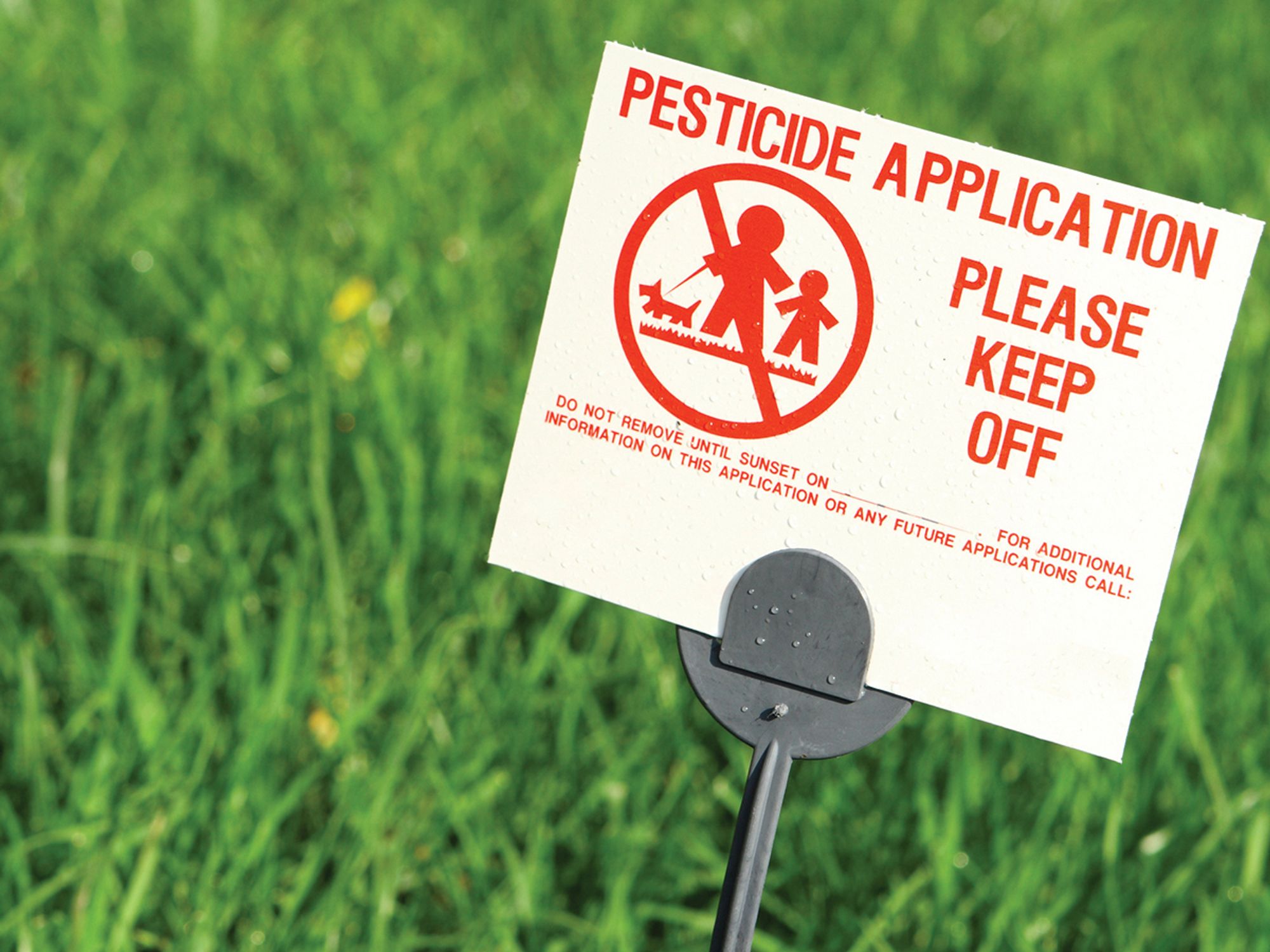 What are pesticides?