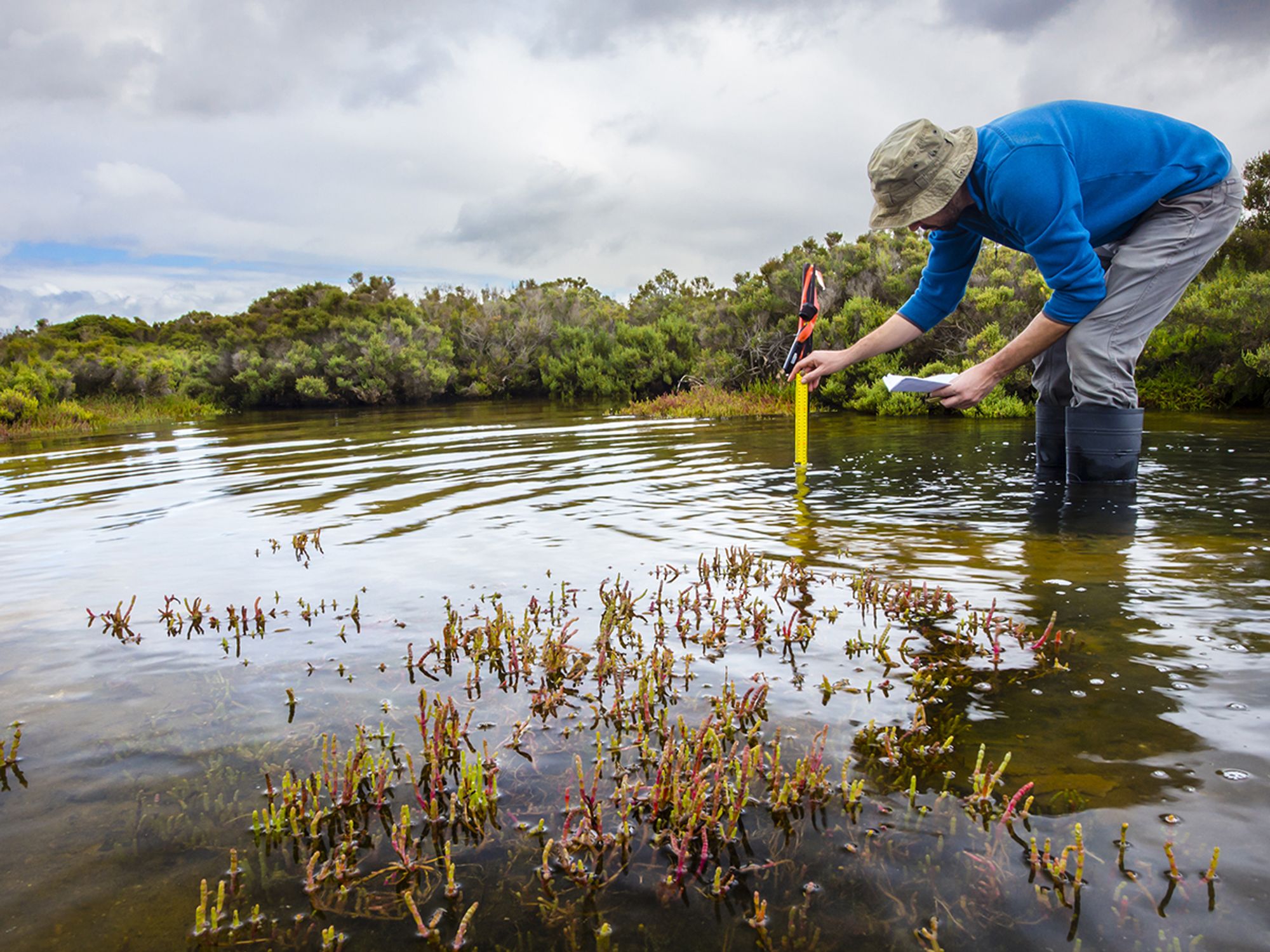 What is wetland (section 404) permitting?