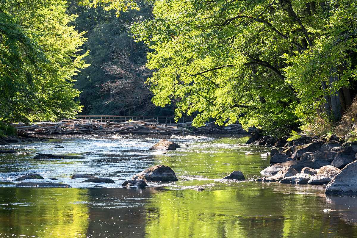 Bring some green indoors to enhance job performance and employee well-being