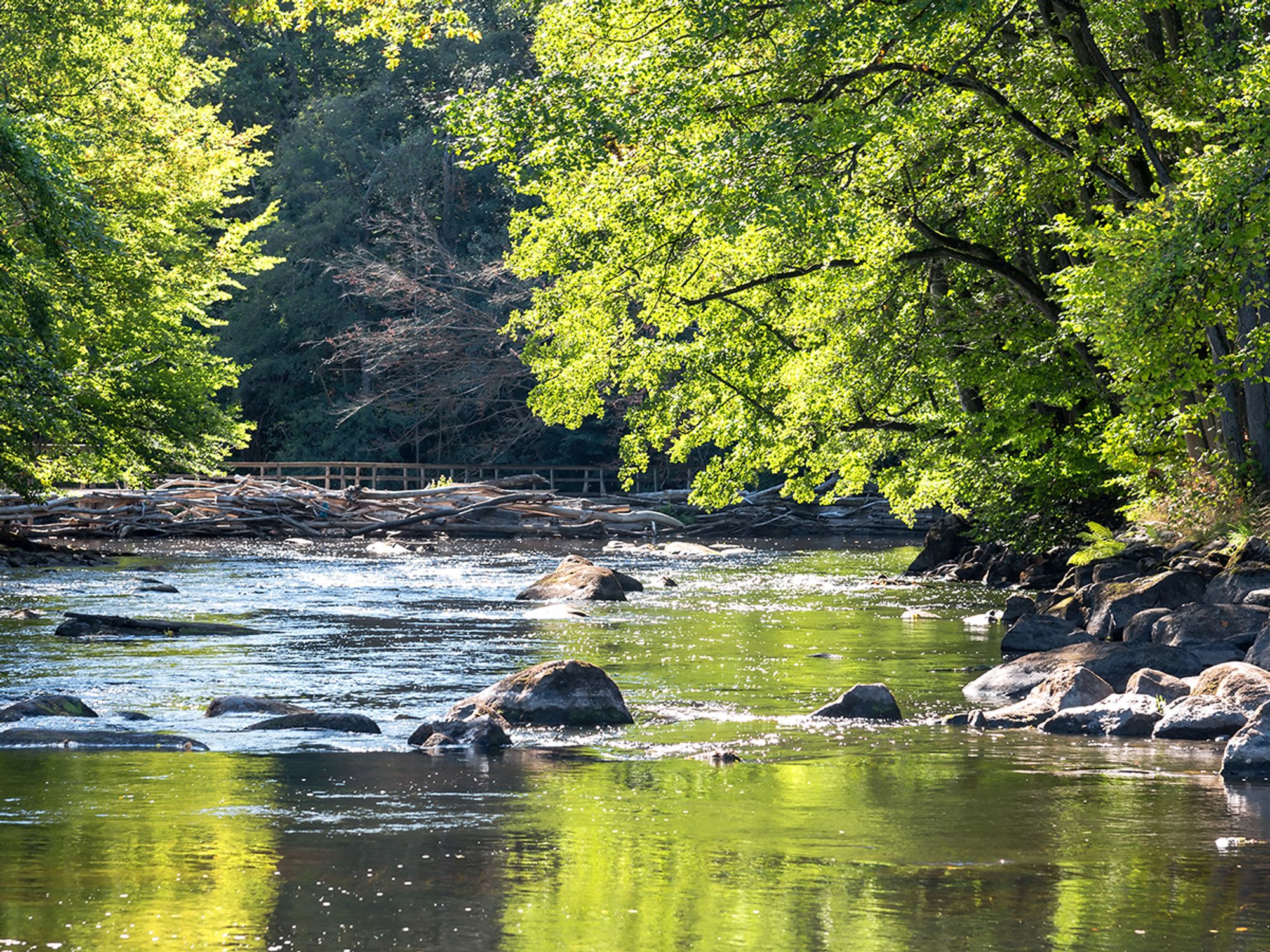 The Clean Water Rule and WOTUS