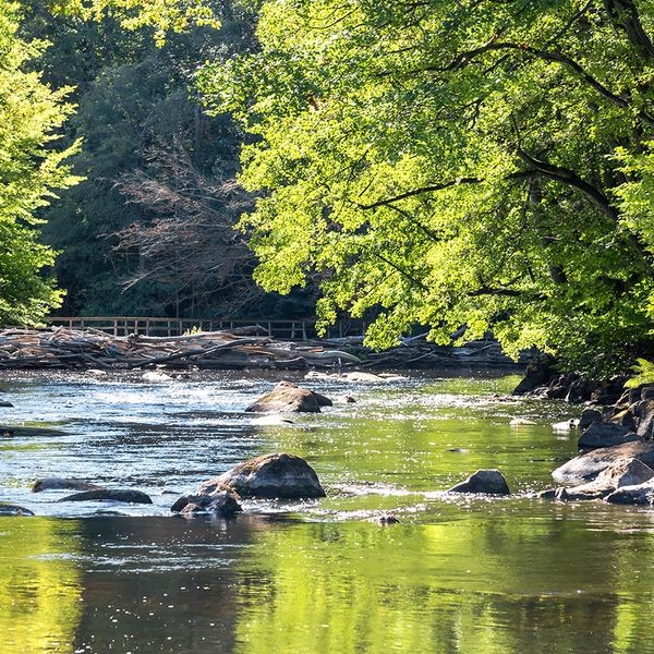 Sun, sand, and the FMLA