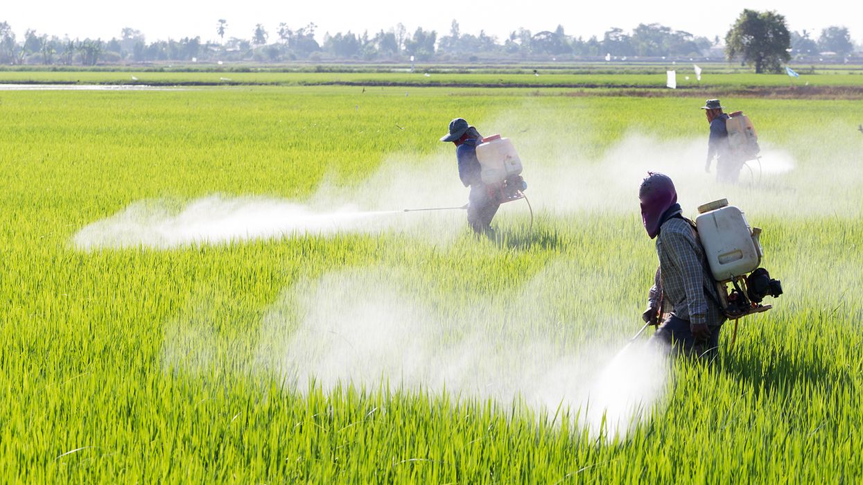 Decode the symptoms: Flu, heat exhaustion, or pesticide poisoning?