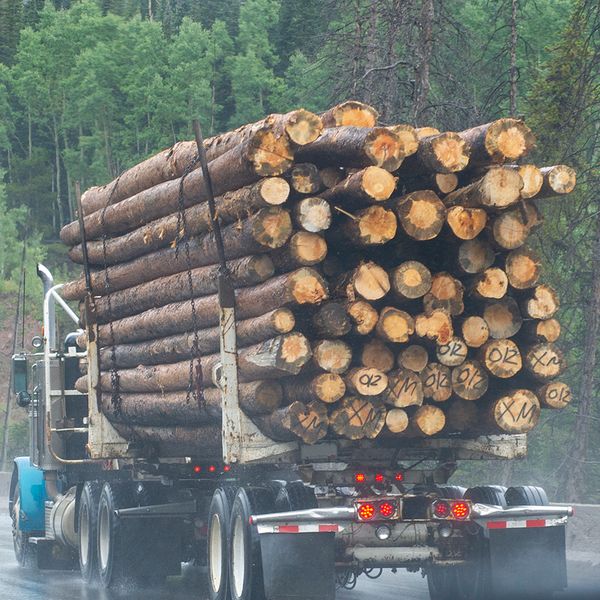 Does your industry require CPR along with first aid training?