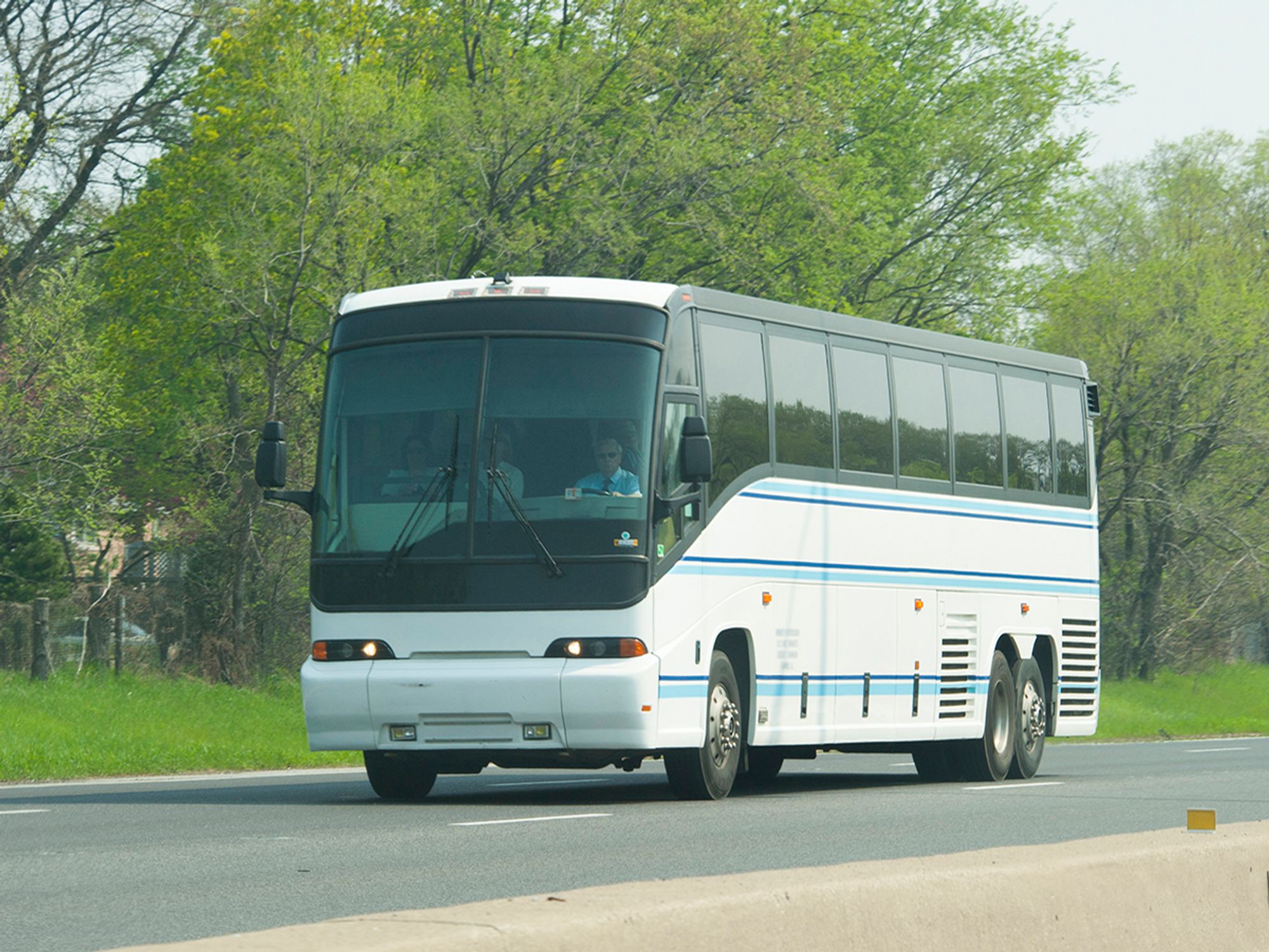 Motorcoach vehicle license or registration