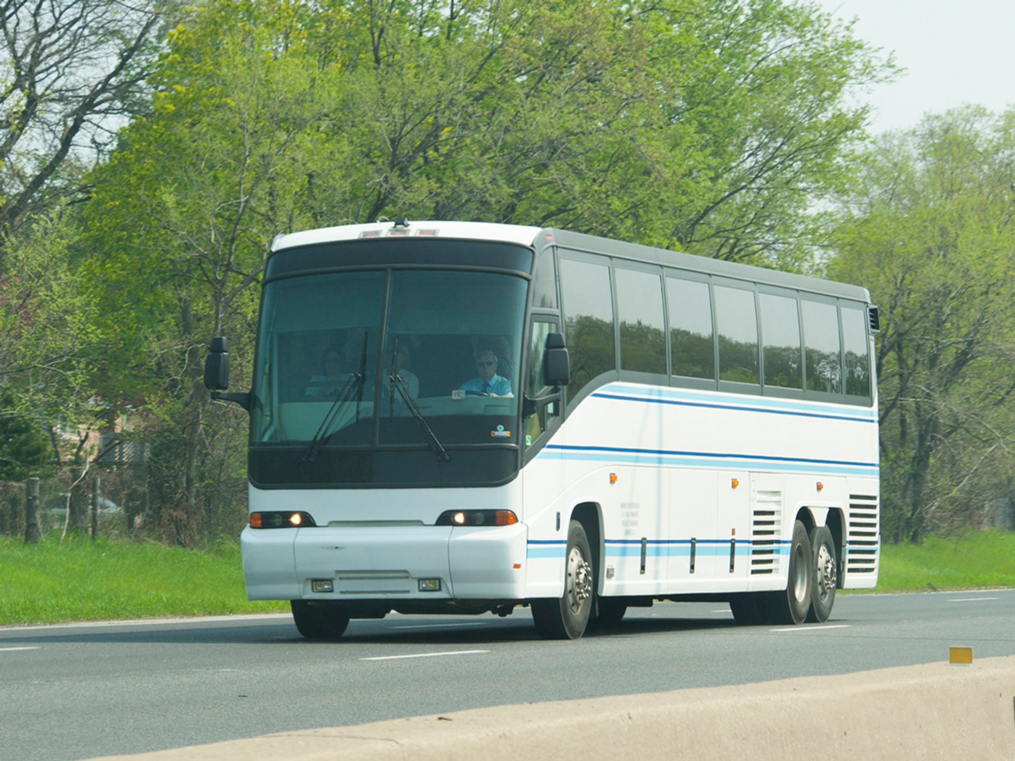 Motorcoach vehicle license or registration