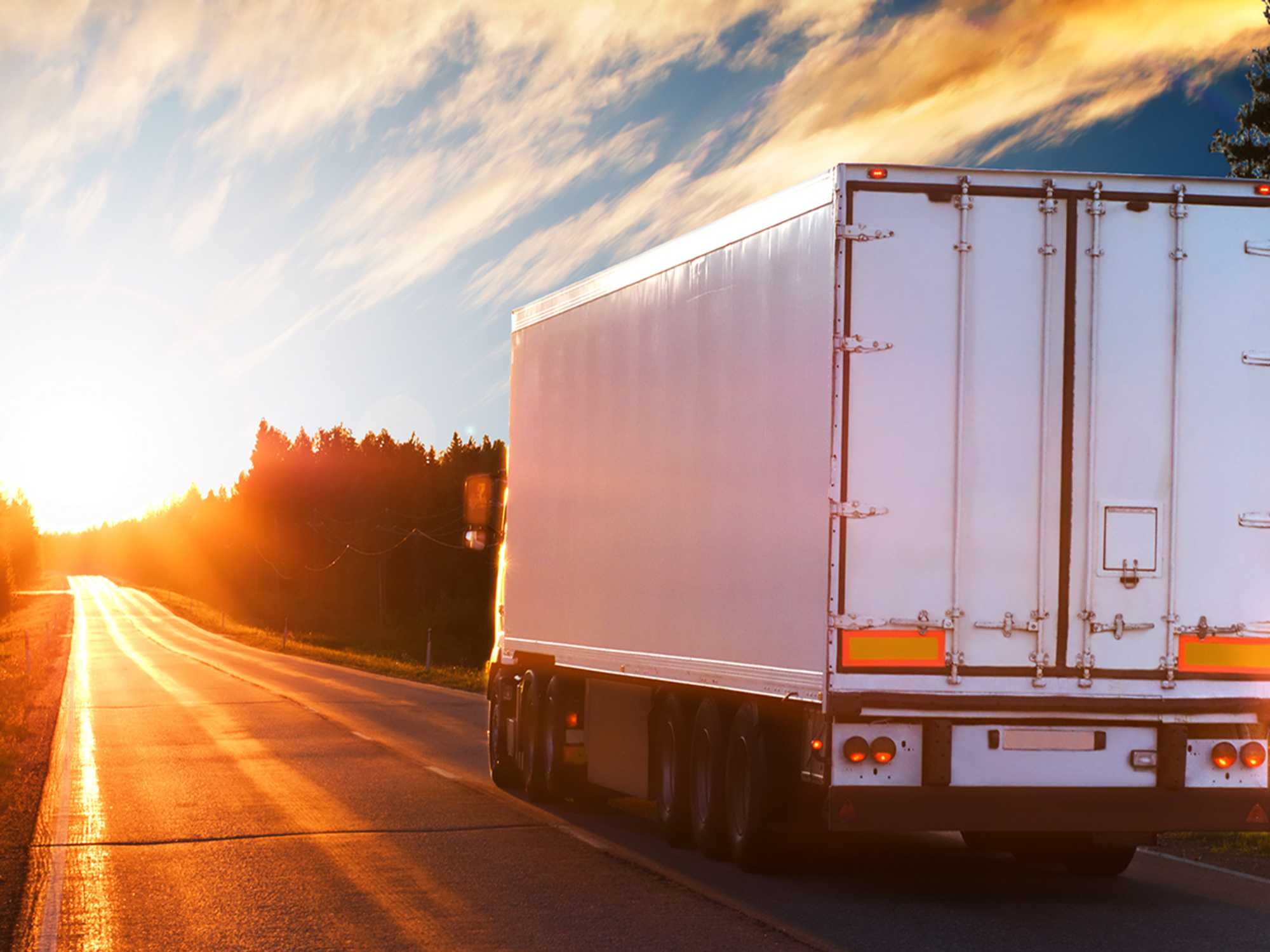 Vehicle registration trip permits
