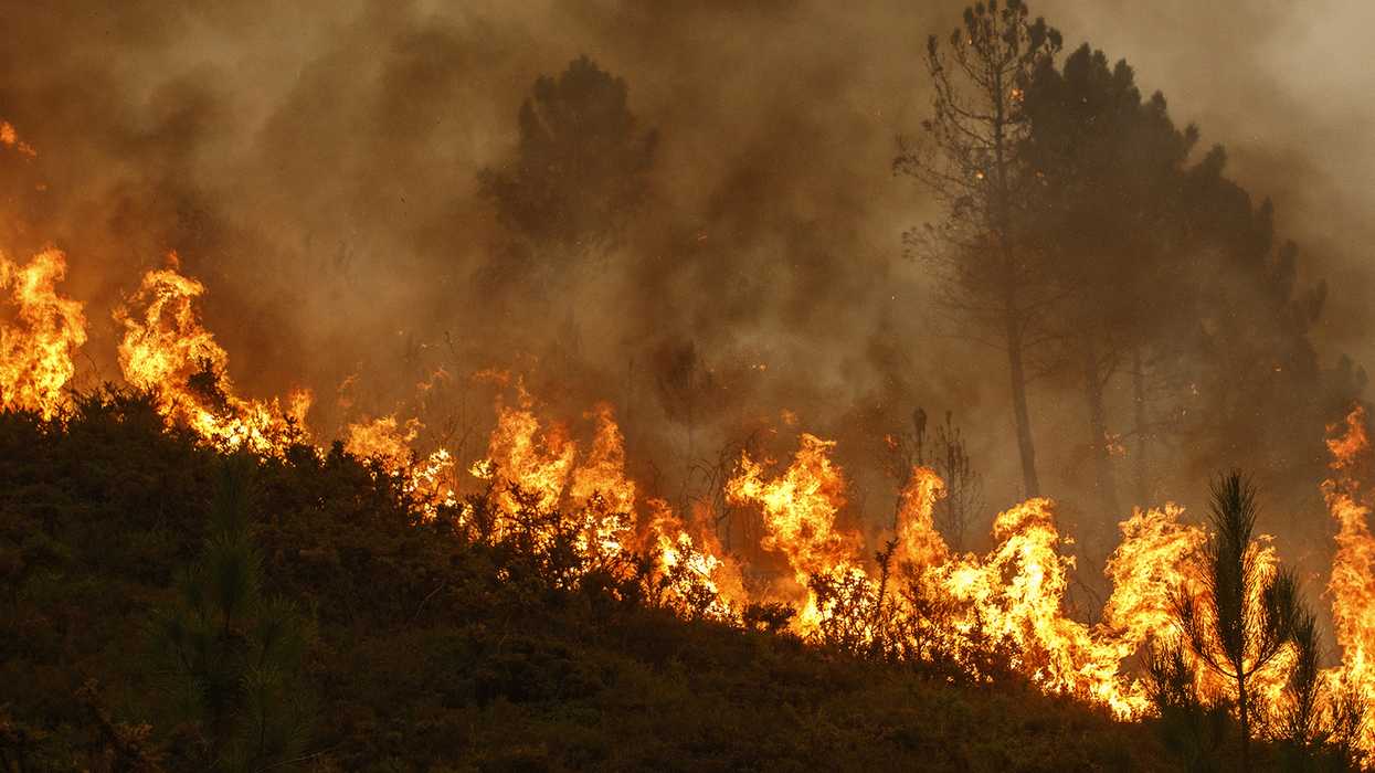 Take your fire assessment to the next level