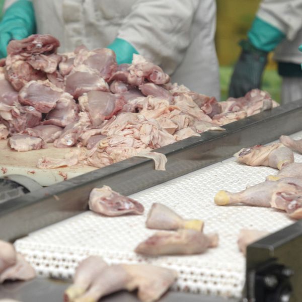 Food inspectors to call OSHA when they spot any worker hazards