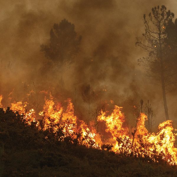 Oregon OSHA adopts two new emergency rules