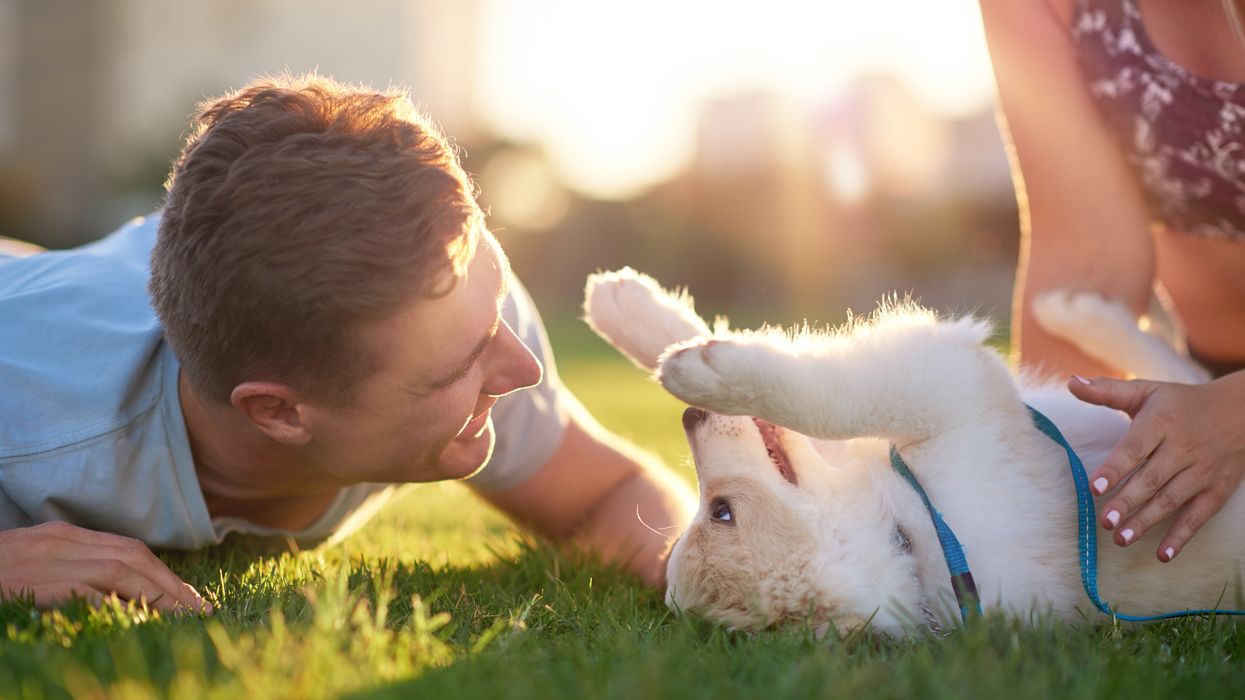 Spring Agenda published — Dog days of summer could heat things up for employers in August