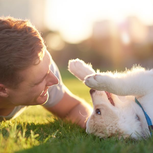 Spring Agenda published — Dog days of summer could heat things up for employers in August
