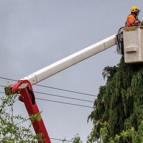 Regional Emphasis Program targets tree, landscape operations in New England