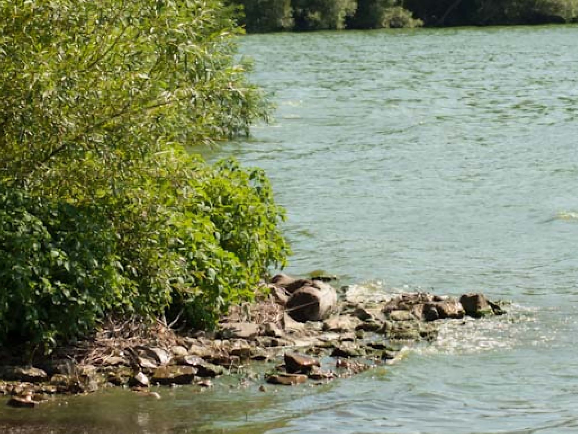 Clean Water Act