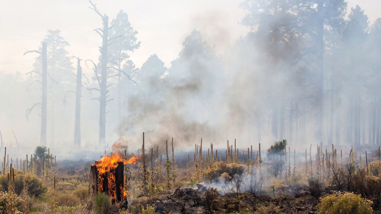 Smoke signals: Battling the hazy maze of wildfire smoke