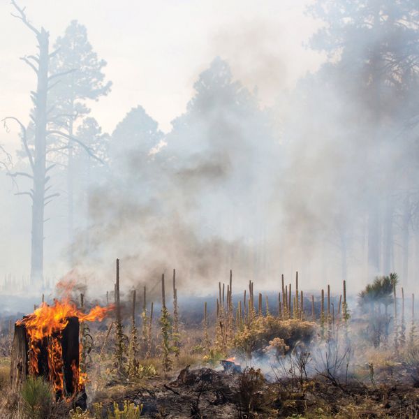 Smoke signals: Battling the hazy maze of wildfire smoke