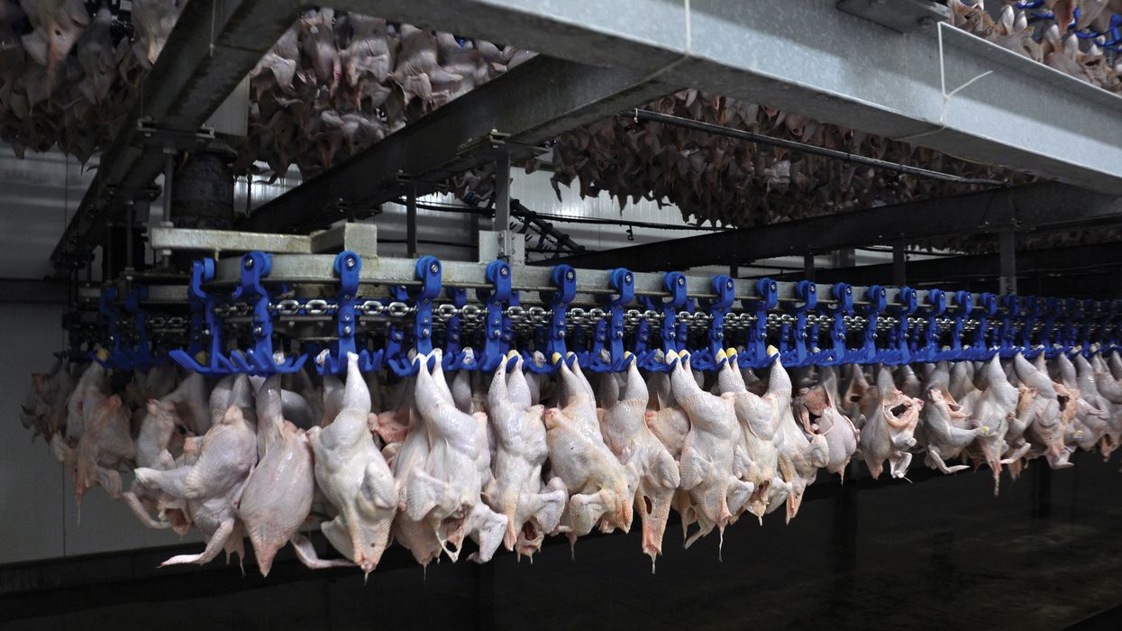 Cranked up line speeds may continue at waived meat plants, USDA says