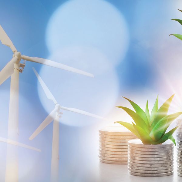 Court vacates Affordable Clean Energy rule, but the battle is far from over