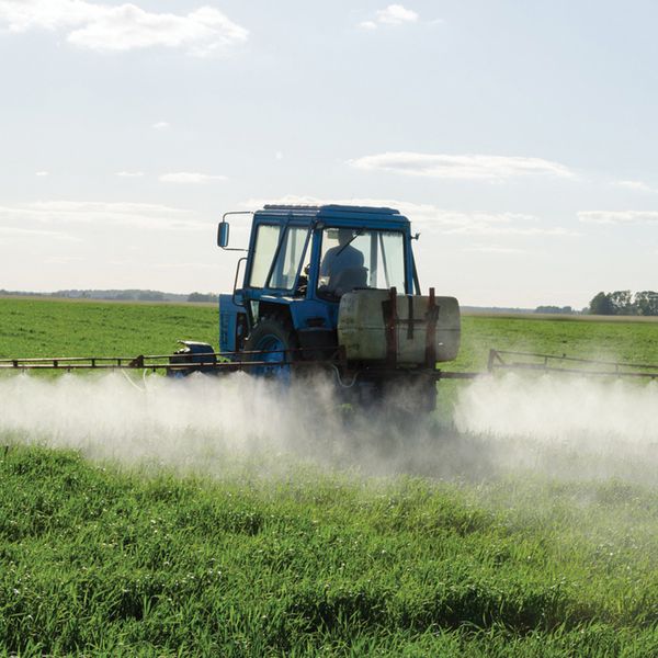 EPA reconsidering application exclusion zone with key amendments